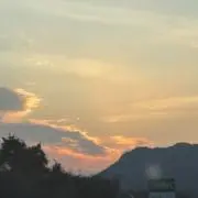 zの画像