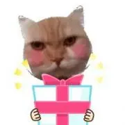 ♡柴ちゃん市場♡の画像