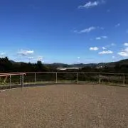 リリー3232の画像