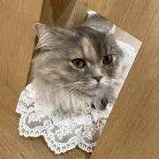 断捨離のお手伝いお願いしますꕤ 。°の画像