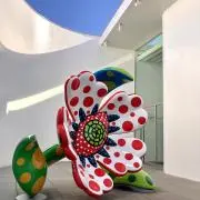 ころりんの画像
