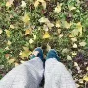 なっちゃん✳︎プロフ必読✳︎の画像