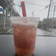 いぬいの画像