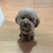 れん