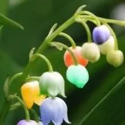 はるかの画像