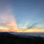 くっぼーの画像