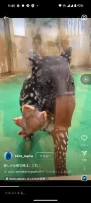 やま