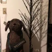 olive  プロフ読んで下さい。の画像