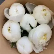 おりの画像