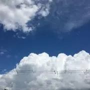 春雨の画像
