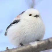 ゆーちゃん
