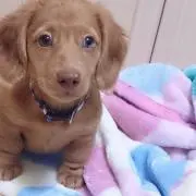 たっちー
