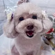 mikiの画像