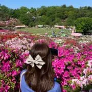 Coti‼️購入前にコメントください‼️の画像
