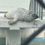 ユニシス