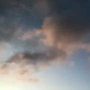 ヨッシーの画像