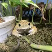 りり♡の画像