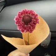 ssの画像