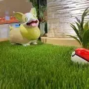 やすまる【即購入大歓迎】の画像