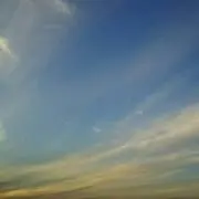 モモンガの画像