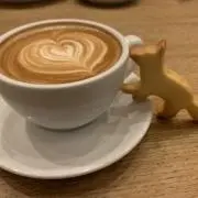 ちょこ