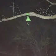すし