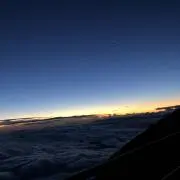 ゆーこりの画像