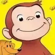 コヒの画像