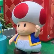 みの画像