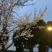 1990の画像