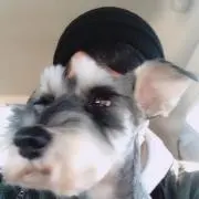 kiri