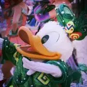 いろはの画像