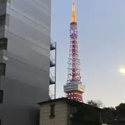 ぶぅーの画像