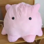 usacoの画像
