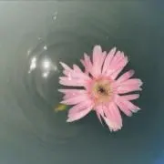 kの画像