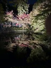 トルネコの画像