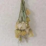 e.