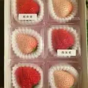 はやいちごの画像