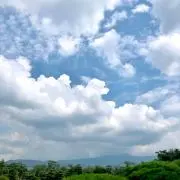 Image of 白湯