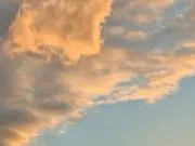 m（購入者はプロフ確認）の画像