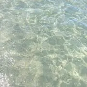 なっつの画像