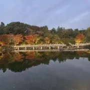 けばぶの画像