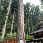 358プロフィール必読の画像