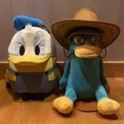 ひまわりの画像