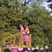 amu⭐︎（プロフ必読お願いします）