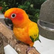 ひでしゃんの画像