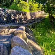 山本の画像