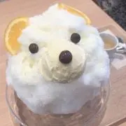 Lemon@まとめ買い可能！の画像