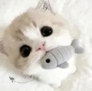 M♡の画像