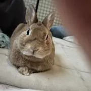 いなり